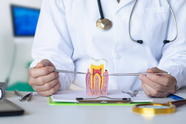Best Emergency Tooth Extraction  in North Yelm, WA